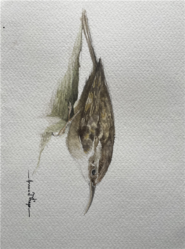 À l’envers du monde